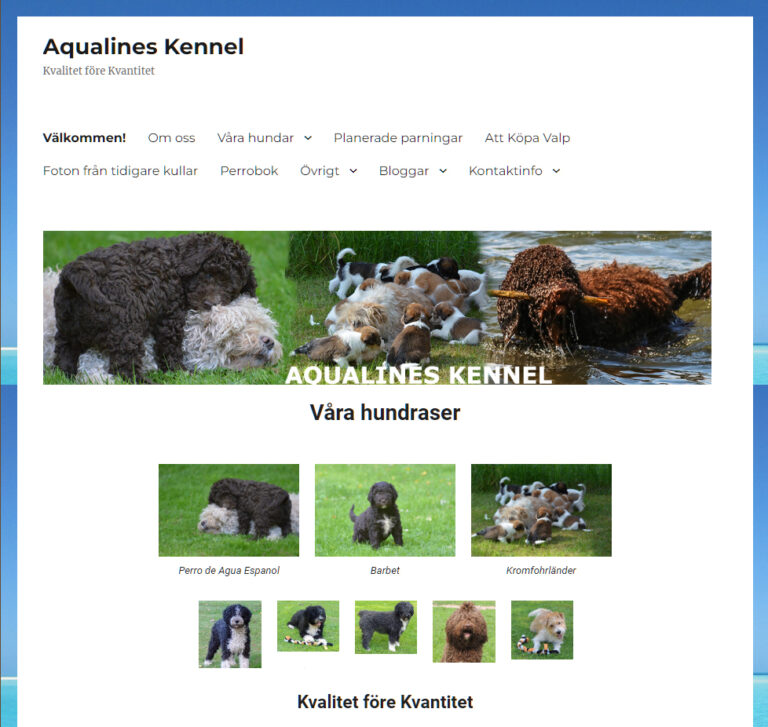 Aqualines Kennel - ny webb